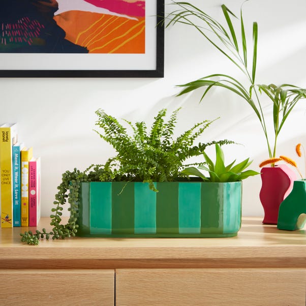  Elements Striped Ceramic Windowsill Plant Pot