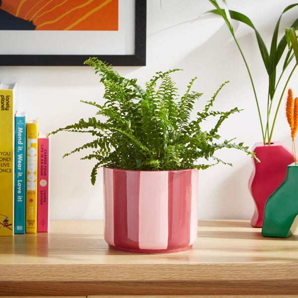  Elements Striped Ceramic Plant Pot