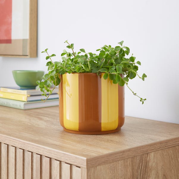  Elements Striped Ceramic Plant Pot