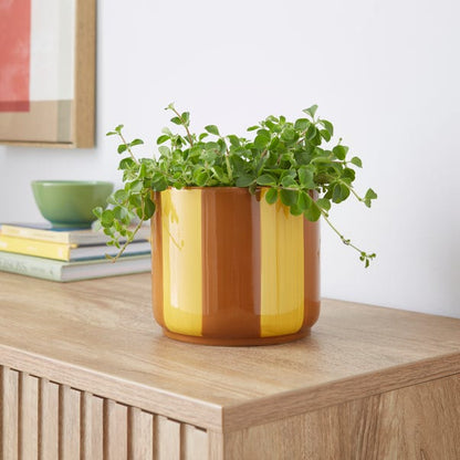 Elements Striped Ceramic Plant Pot