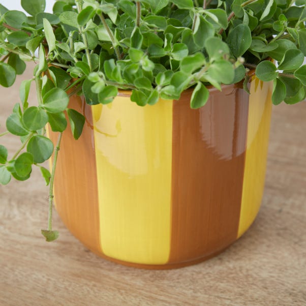  Elements Striped Ceramic Plant Pot
