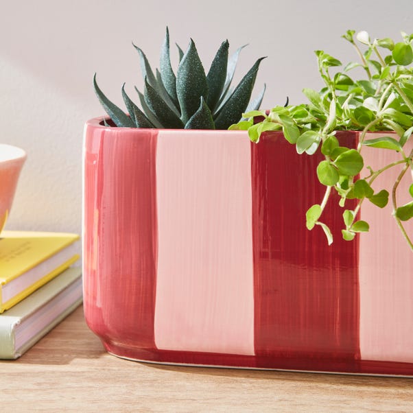  Elements Striped Ceramic Windowsill Plant Pot