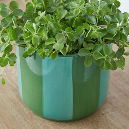  Elements Striped Ceramic Plant Pot