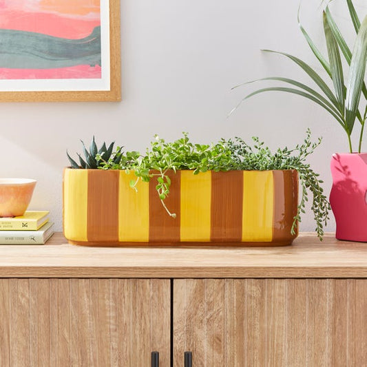  Elements Striped Ceramic Windowsill Plant Pot